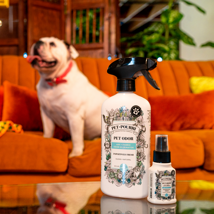 16oz Pawsitively Fresh Room Spray