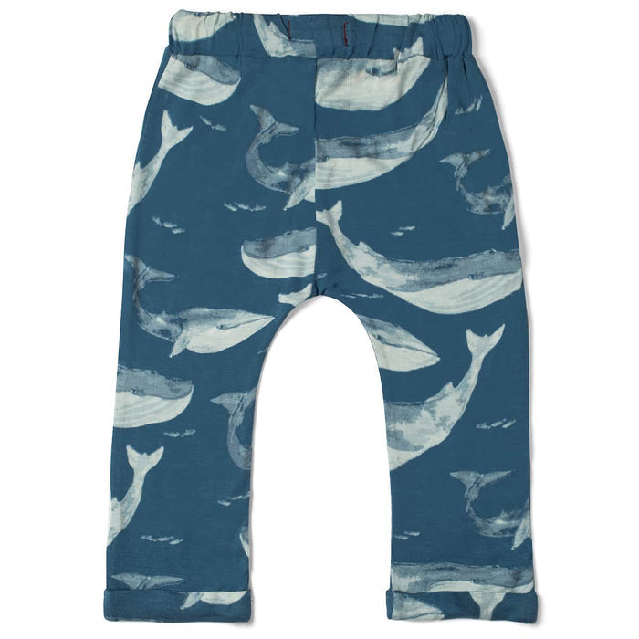 BA - Jogger Pant