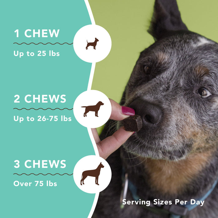Calming Supplement for Dogs-90ct