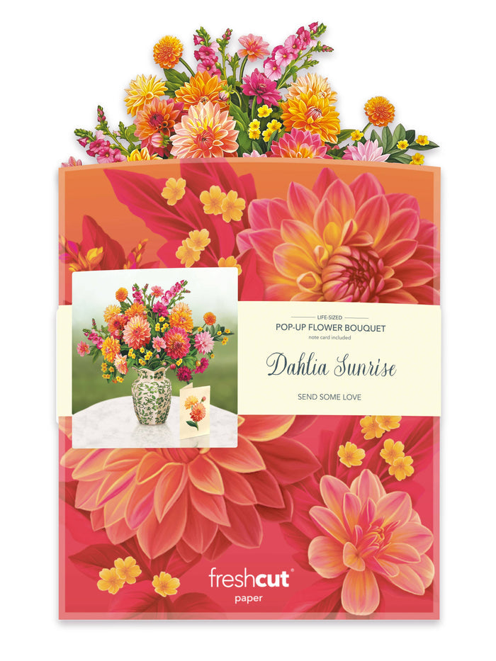 Dahlia Sunrise