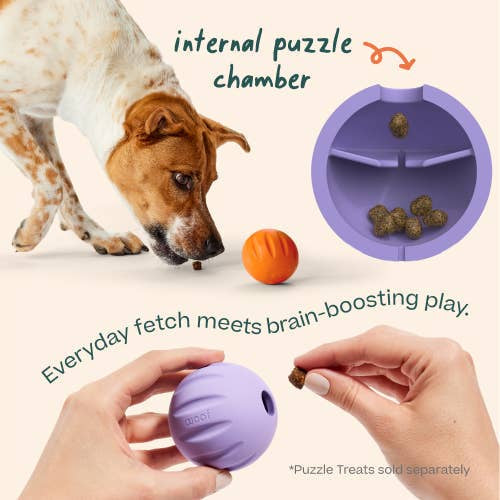 Flyball
