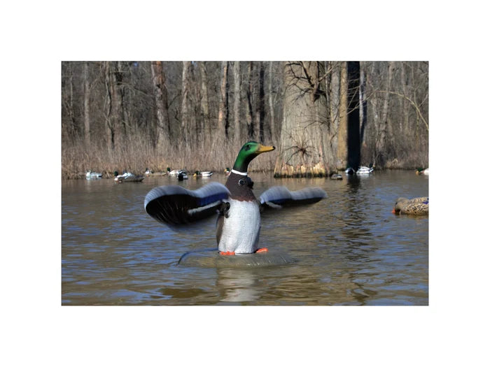 Higdon XS Mallard Drake Decoy | Floating Flasher