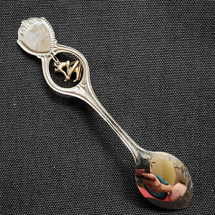 Idaho State Collectible Travel Souvenir Spoon Winter Down Hill Skier Dangler
