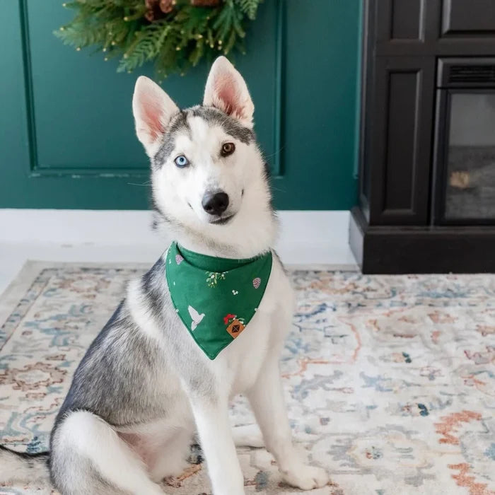 Kyte Baby Dog Bandana - Mistletoe