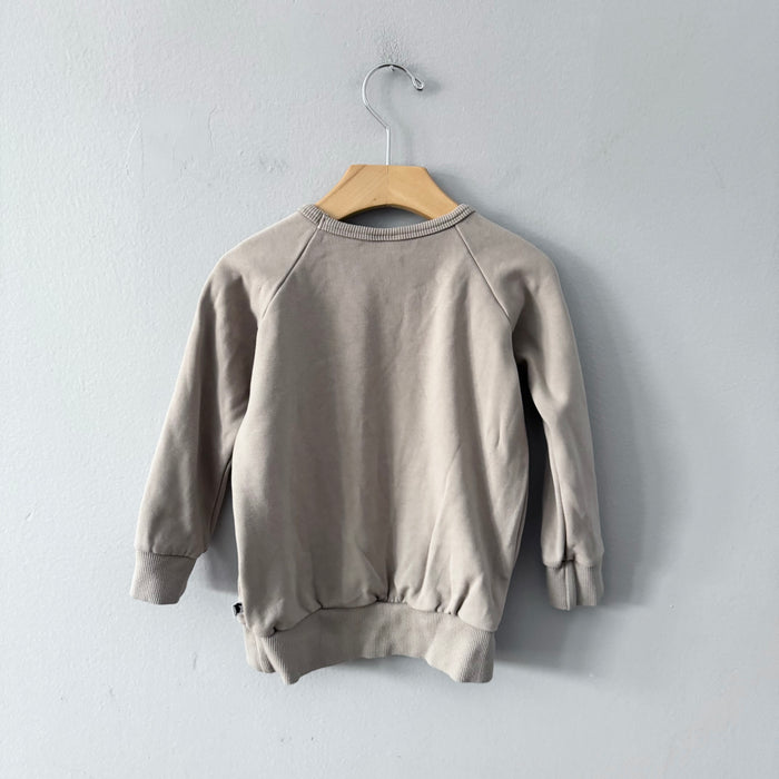 Little & Lively / Grey fairy fleece lined crew top / 3-4T