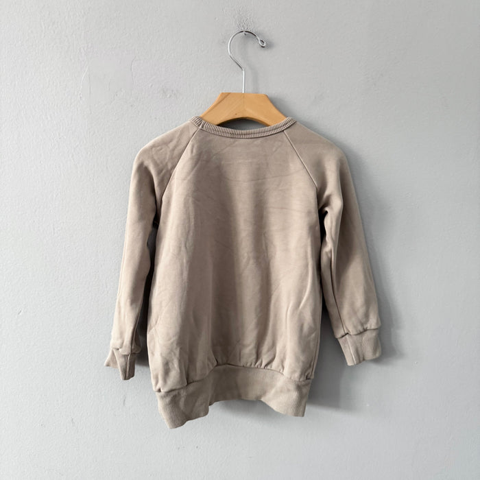 Little & Lively / Grey mushroom fleece lined crew top / 3-4T