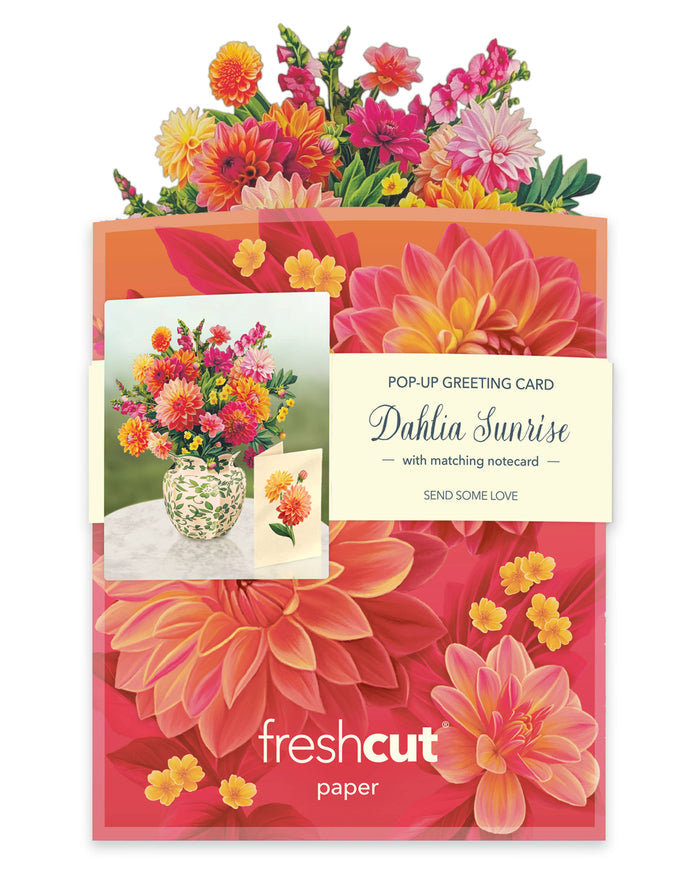 Mini Sunrise Dahlia