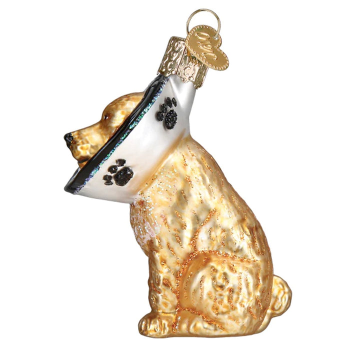 Old World Christmas Cone Of Shame Dog Ornament
