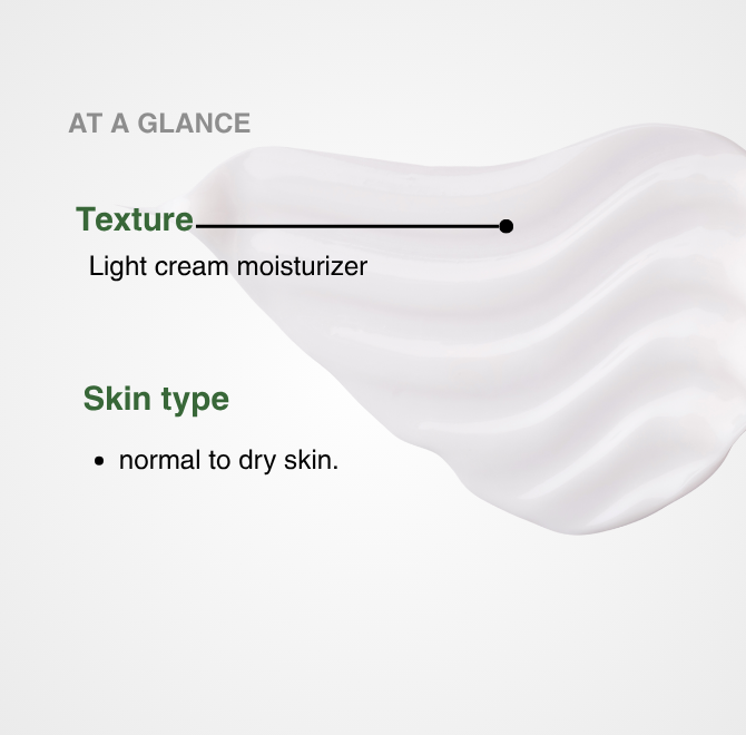 ALOE + HA MOISTURIZER LIGHT CREAM - The ALOELAB