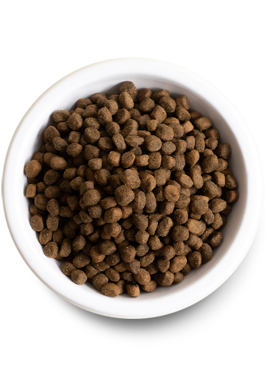 Ancient Grain Lamb Dog Food