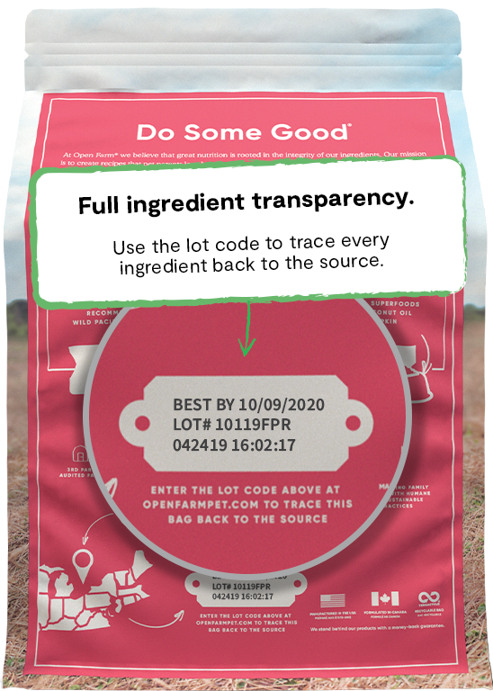 Ancient Grain Salmon Dog Food