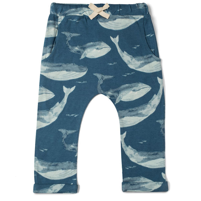 BA - Jogger Pant