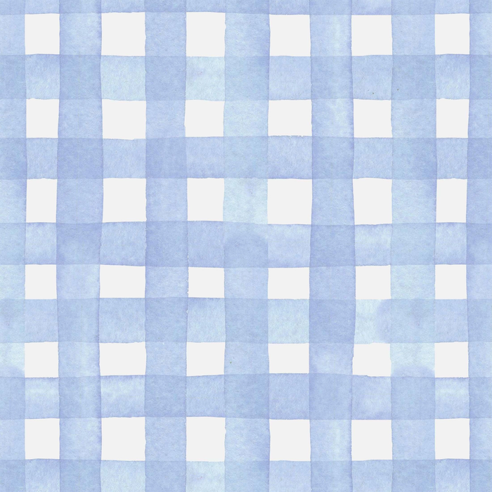 Beau Bottles Powder Blue Picnic Gingham Champagne Bottle Wrap