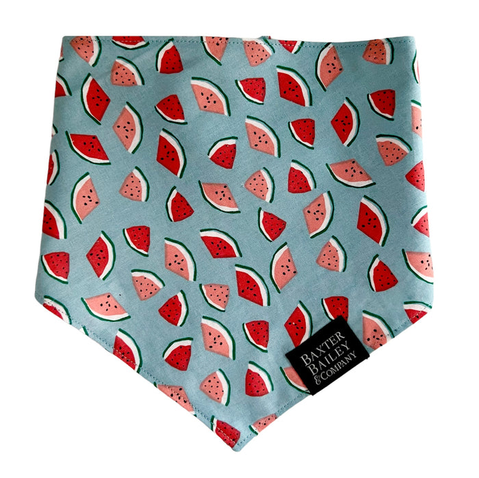 Blue Watermelon Reversible Bandana