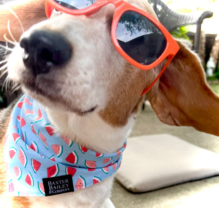 Blue Watermelon Reversible Bandana