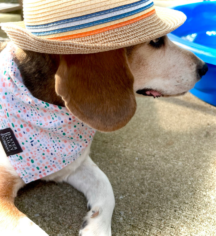Blue Watermelon Reversible Bandana