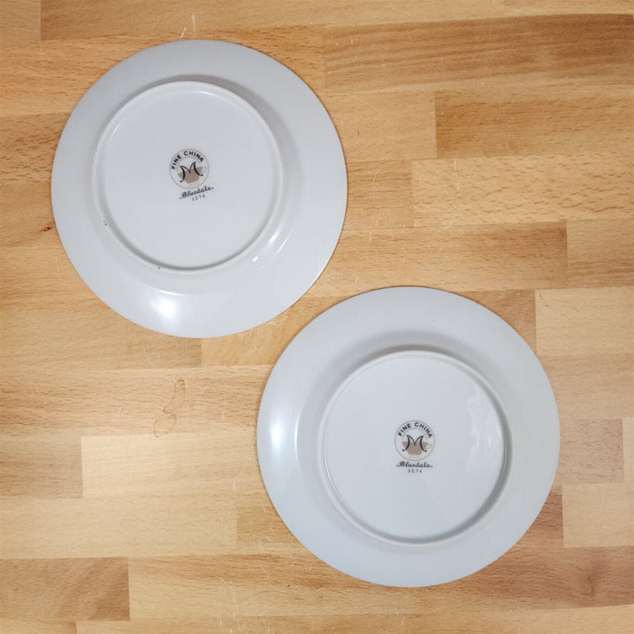 Bluedale Salad Plate Set of 2 by Fine China Japan Blue & White Flowers Ceramic