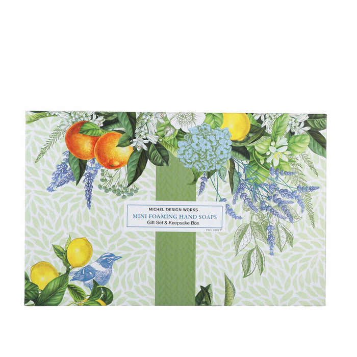 Botanicals Mini Foaming Hand Soap Gift Set (4-Piece)