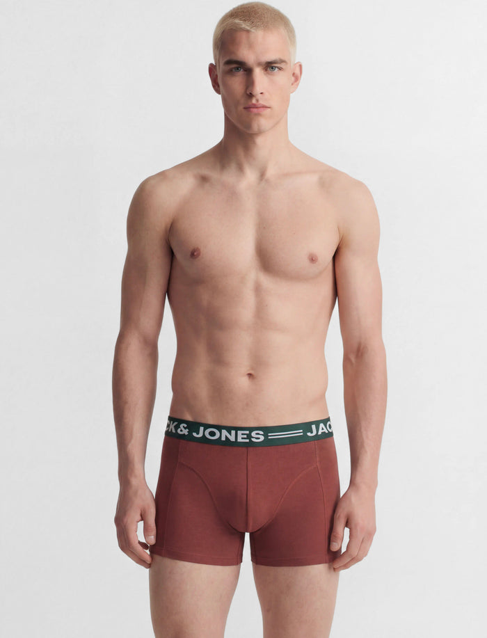 Boxeurs courts en coton bio pour homme
