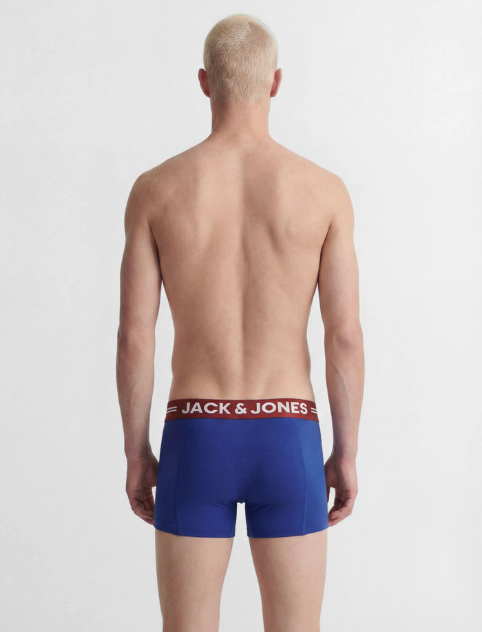 Boxeurs courts en coton bio pour homme