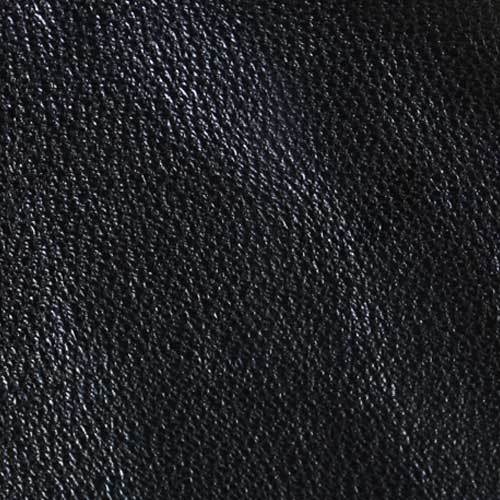 Bugskin