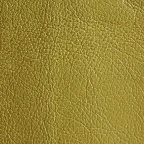 Bugskin