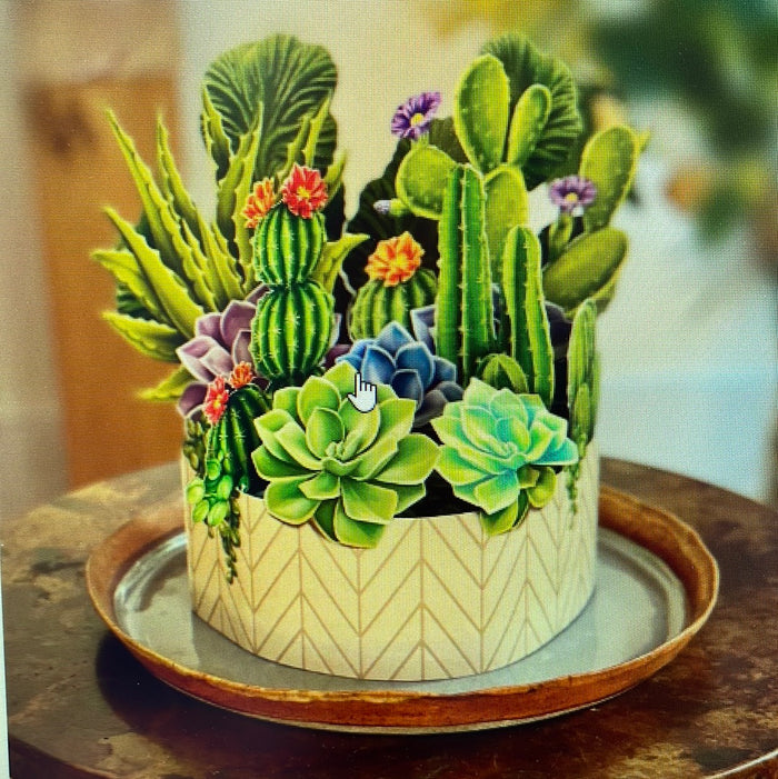 Cactus Garden