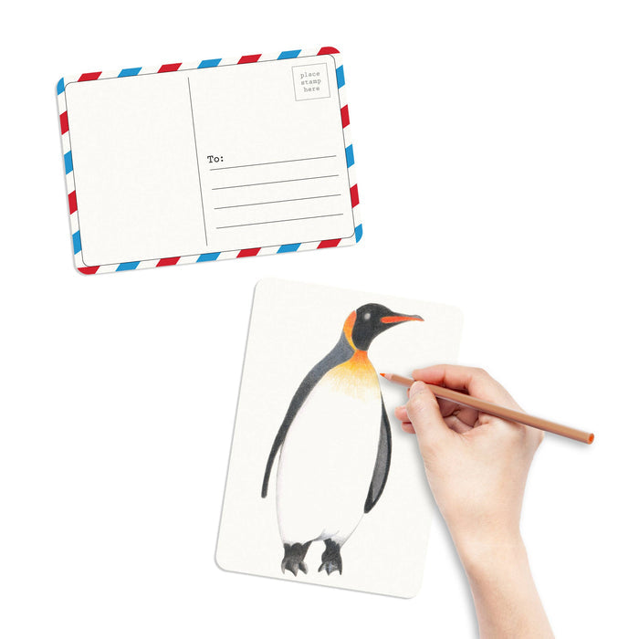 Coloring Postcards - Birds (6 Designs/30 Cards)