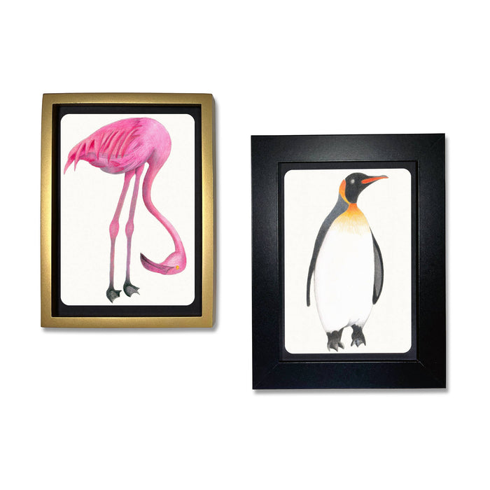 Coloring Postcards - Birds (6 Designs/30 Cards)
