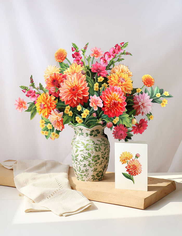 Dahlia Sunrise