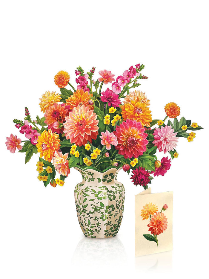 Dahlia Sunrise