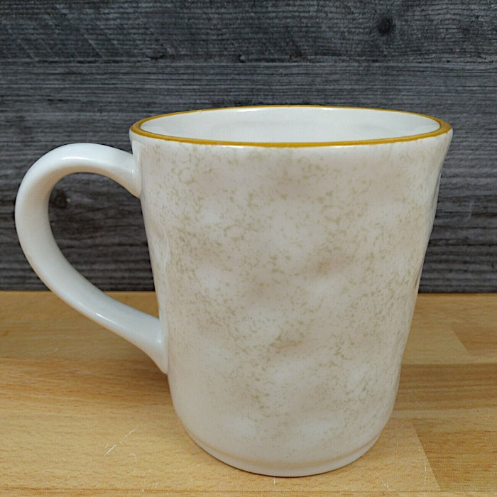Farmwood Valley Harvest Pumpkin Floral Coffee Mug Ceramic Tea Cup 16oz Blue Sky