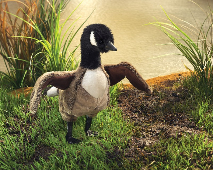 Folkmanis Puppet - Canada Goose