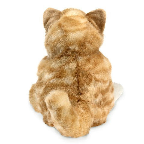 Folkmanis Puppet -  Orange Tabby Kitten