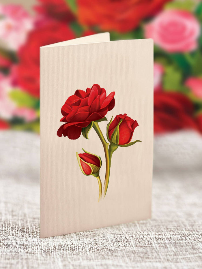 FreshCut Paper LLC - Blooming Roses (8 Pop-up Greeting Cards)