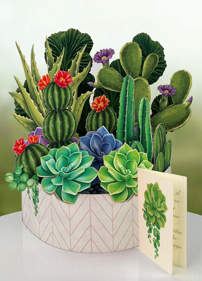 FreshCut Paper LLC - Cactus Garden (8 Pop-up Greeting Cards)