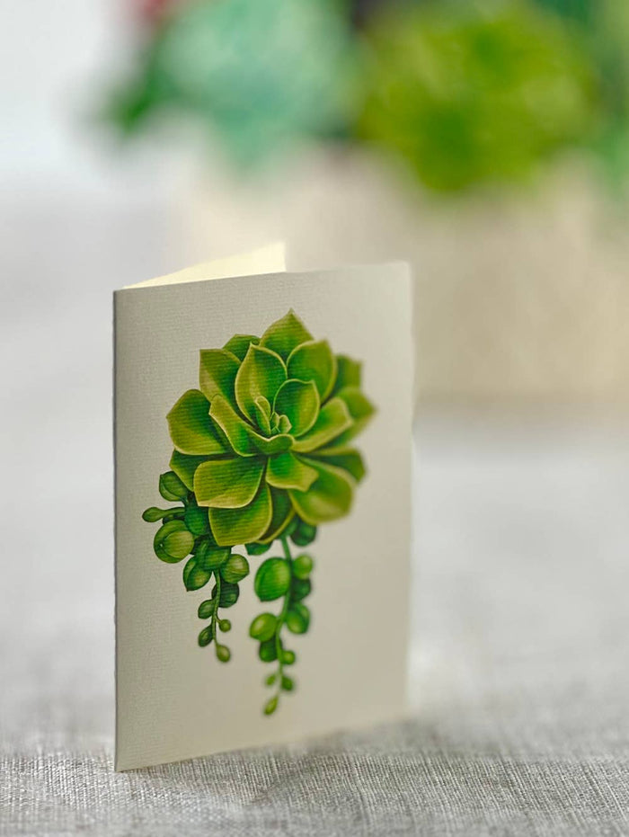 FreshCut Paper LLC - Cactus Garden (8 Pop-up Greeting Cards)
