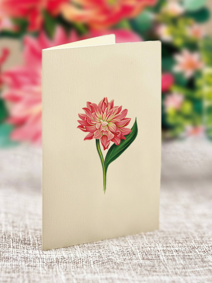 FreshCut Paper LLC - Mini Dear Dahlia (10 Pop-up Greeting Cards)