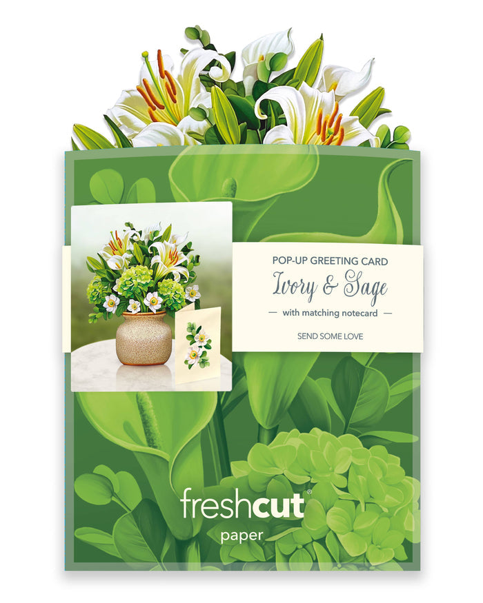 FreshCut Paper LLC - Mini Ivory & Sage (10 Pop-up Greeting Cards)