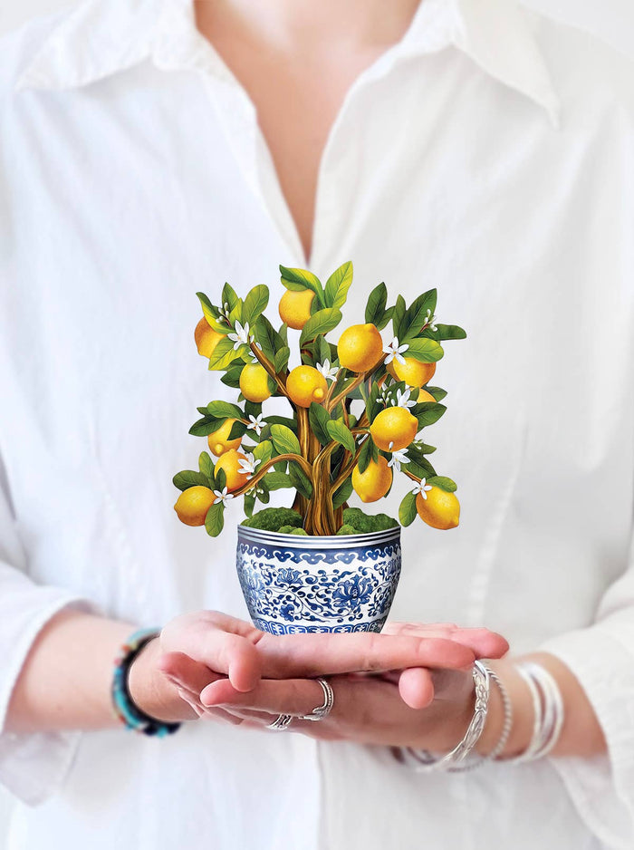 FreshCut Paper LLC - Mini Lemon Blossom Tree  (10 Pop-up Greeting Cards)