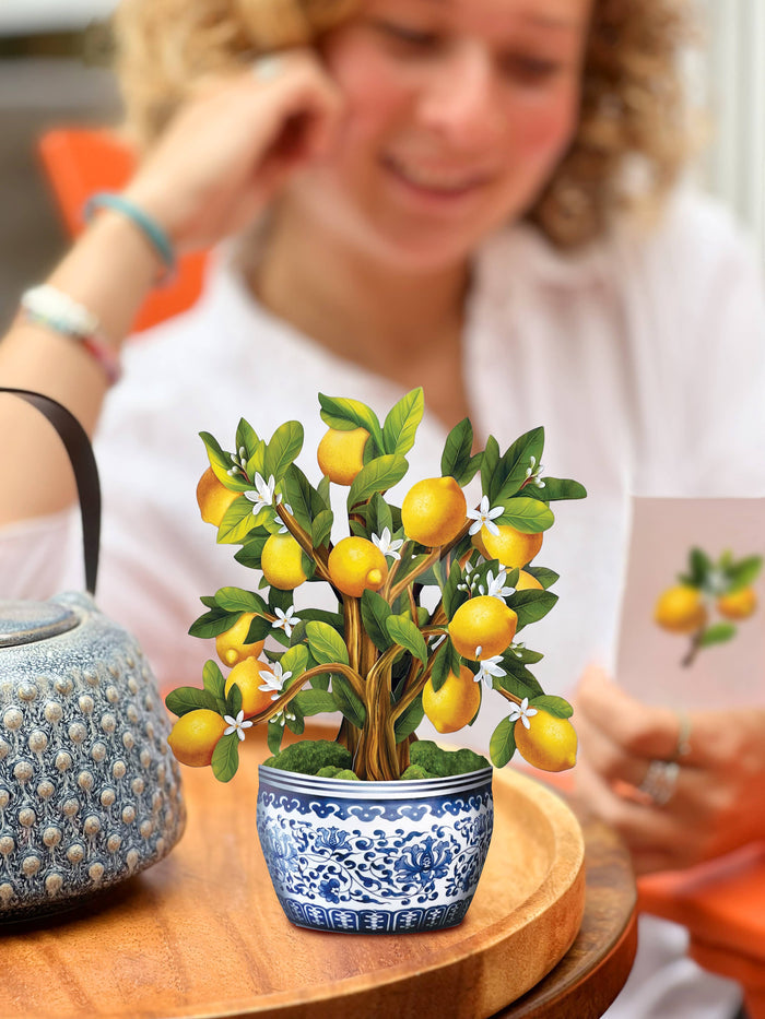 FreshCut Paper LLC - Mini Lemon Blossom Tree  (10 Pop-up Greeting Cards)