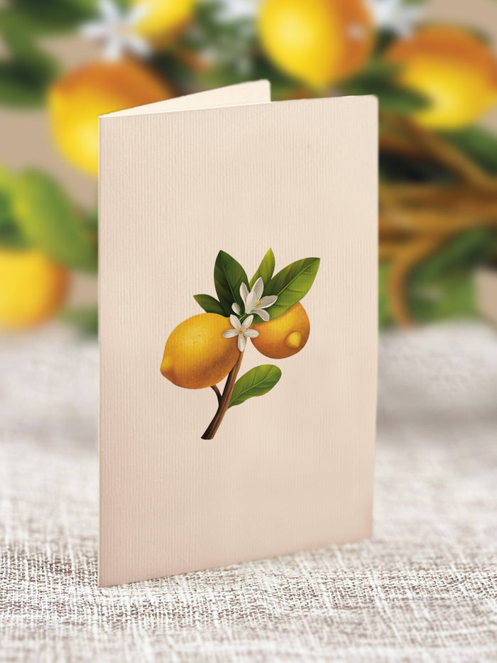 FreshCut Paper LLC - Mini Lemon Blossom Tree  (10 Pop-up Greeting Cards)