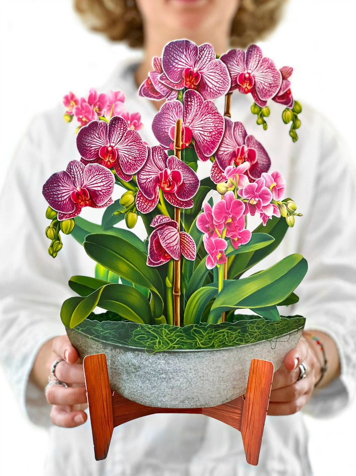 FreshCut Paper LLC - Orchid Oasis (8 Pop-up Greeting Cards)