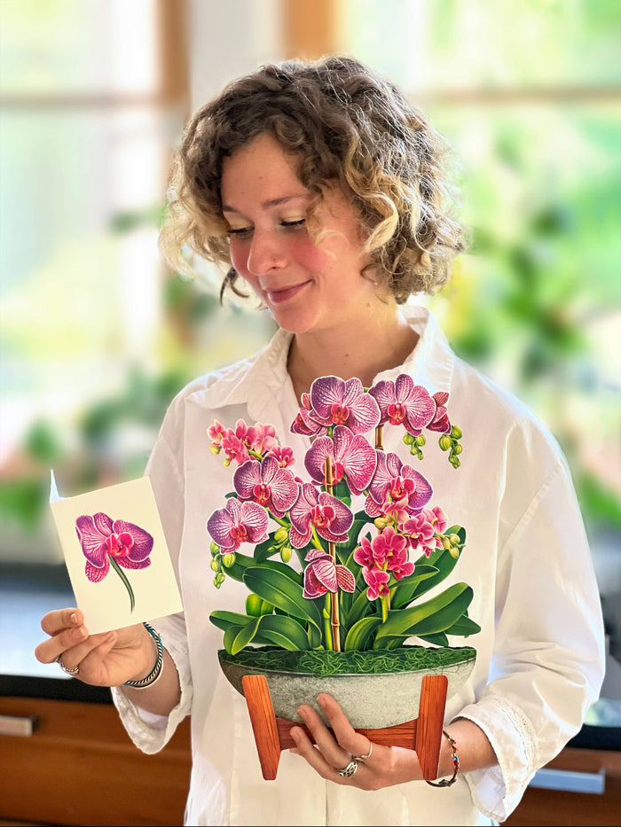 FreshCut Paper LLC - Orchid Oasis (8 Pop-up Greeting Cards)