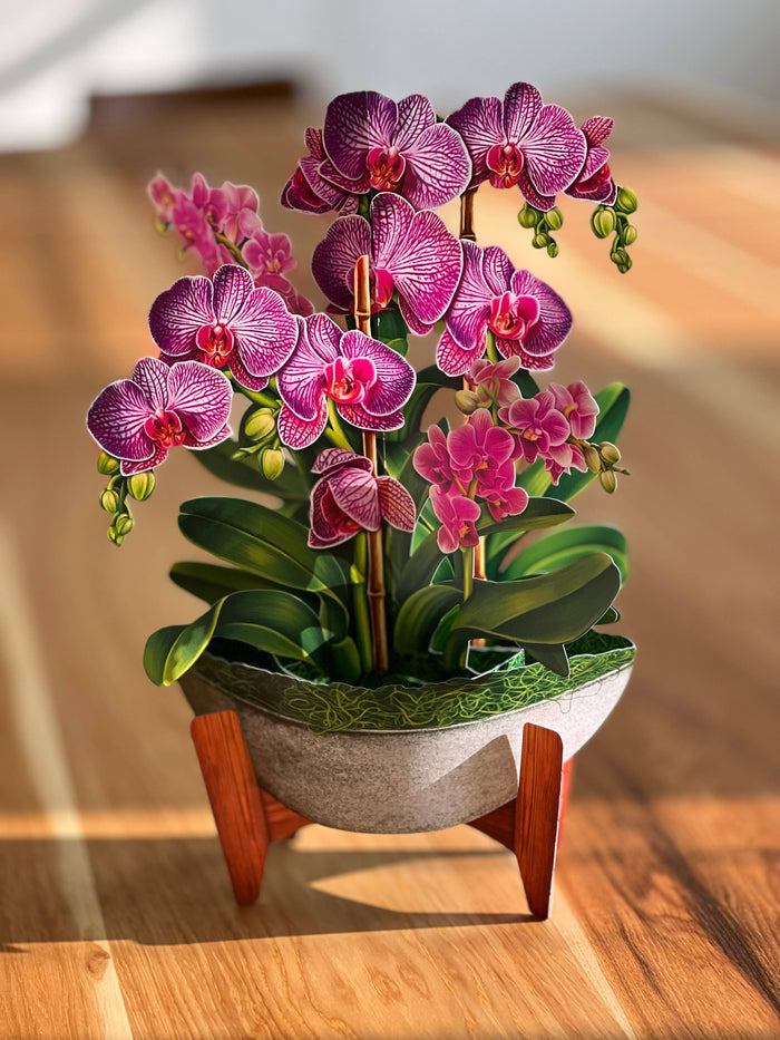 FreshCut Paper LLC - Orchid Oasis (8 Pop-up Greeting Cards)