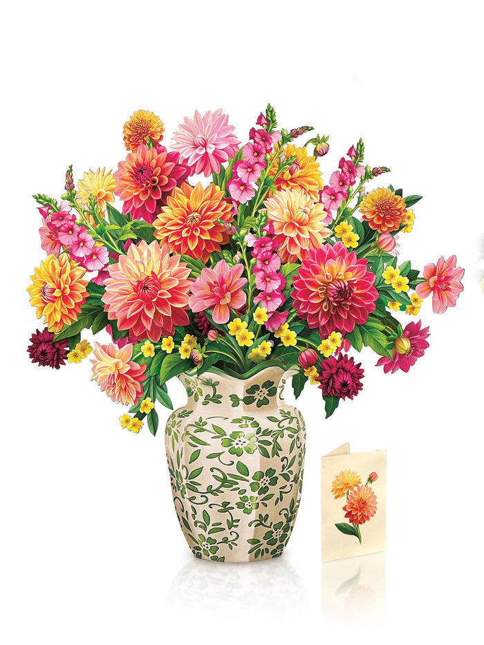 Grande Dahlia Sunrise