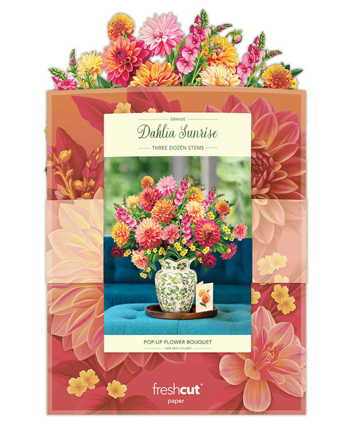 Grande Dahlia Sunrise