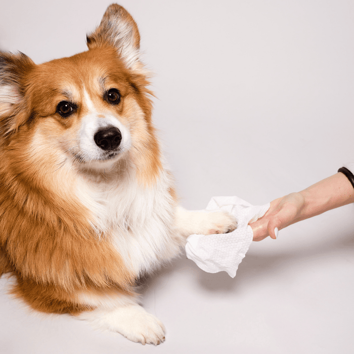 Grooming Wipes-50ct