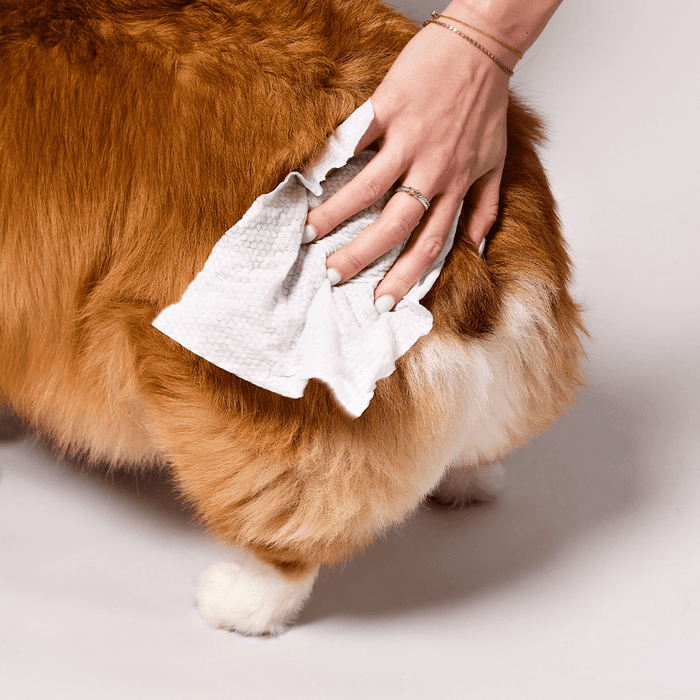 Grooming Wipes-50ct