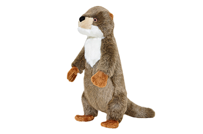 Harry Otter